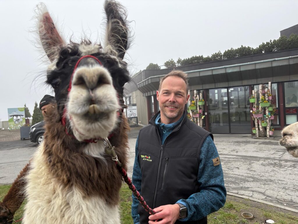 Lama Flüsterer gesucht