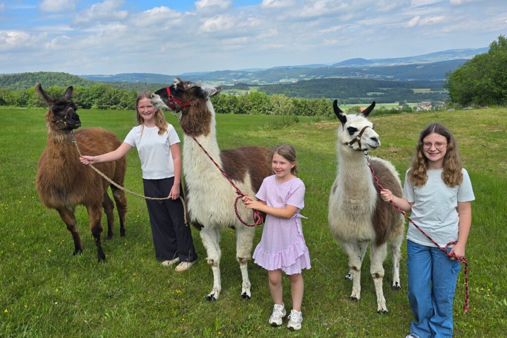 Lama Wanderung im Rhön Park Aktiv Resort