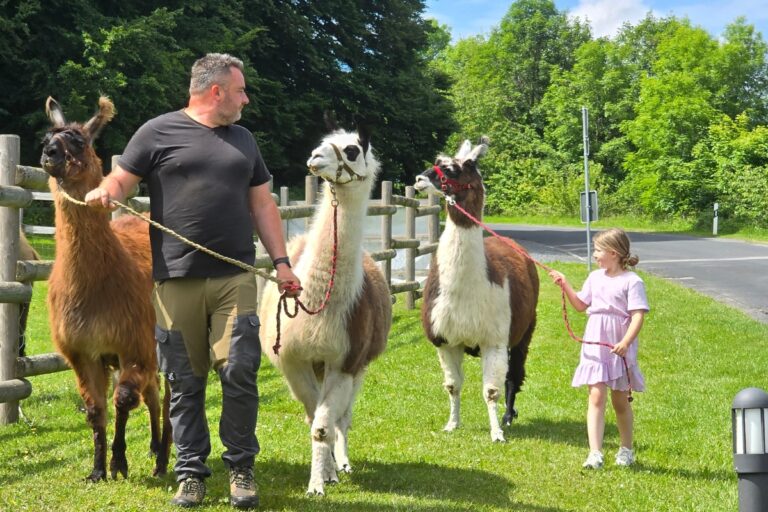 Lama Wanderung im Rhön Park Aktiv Resort