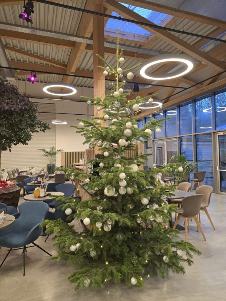 Weihnachtsfeiern in der RhönParkArena, Eventlocation, Feiern auf 700 Höhenmetern in der Rhön